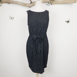 A pea in the pod black lace sheath dress